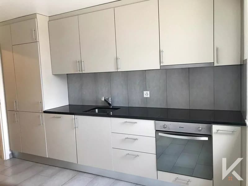 Spacieux appartement de 4.5 pièces (3)