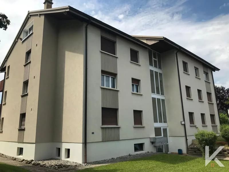 Spacieux appartement de 4.5 pièces (2)