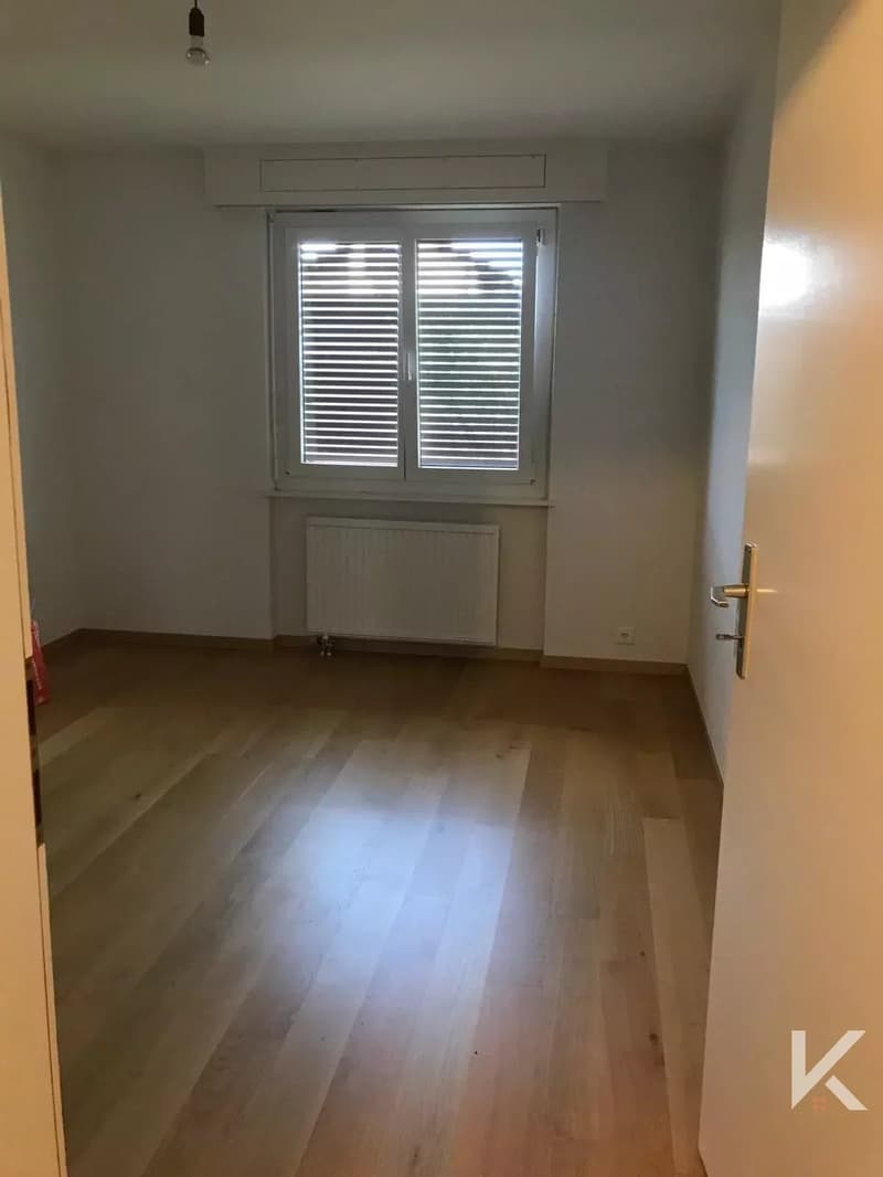 Spacieux appartement de 4.5 pièces (5)