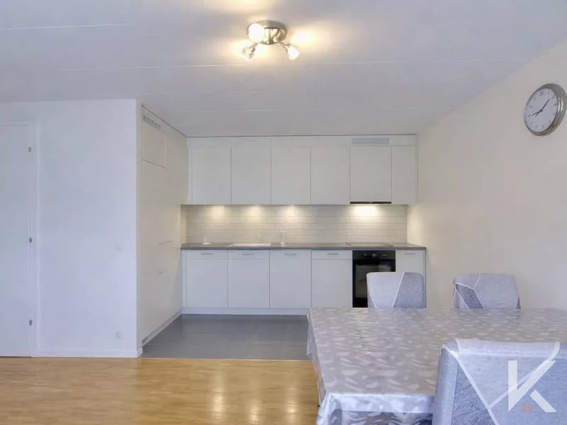 Appartement de rendement 3.5 pièces à Attalens (1)