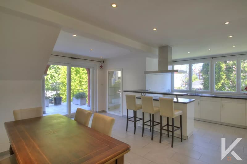 Splendide appartement 6,5 pièces au bord de la Vièze avec studio en copropriété (1)