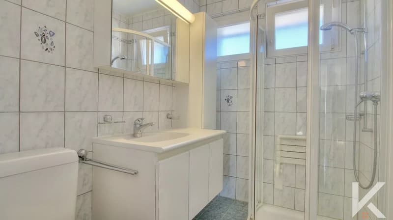 Appartement 4.5 pièces à Evionnaz (8)
