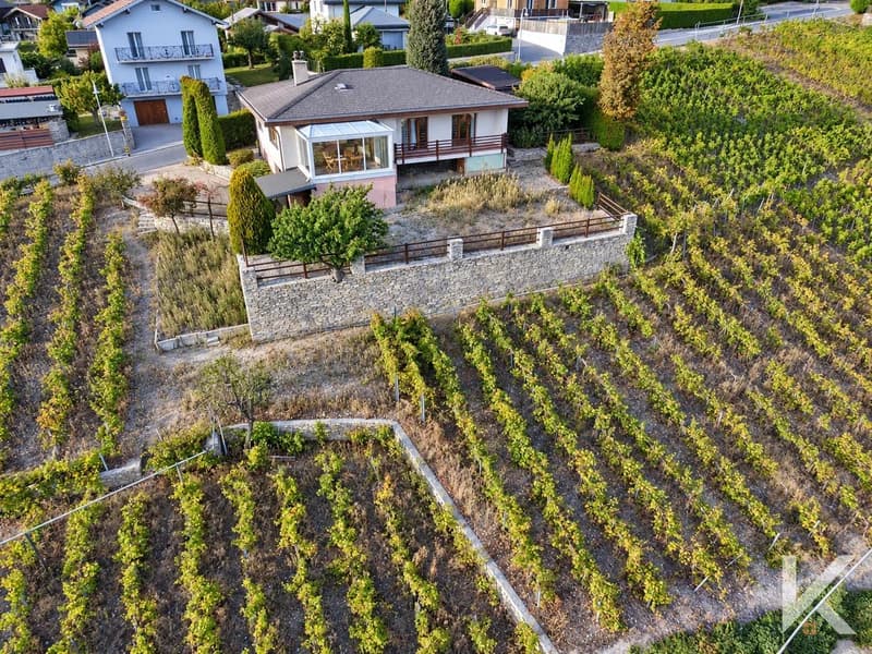 Villa de 5.5 pièces au coeur des vignes avec vue panoramique exceptionnelle (4)