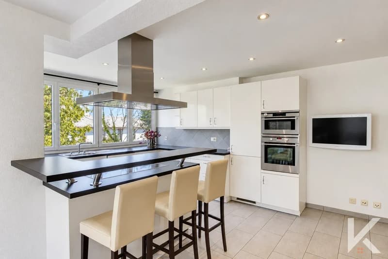 Profitez du chauffage à distance et oubliez vos factures de gaz. Magnifique appartement 6.5 pièces et studio en copropriété au bord de la Vièze (4)
