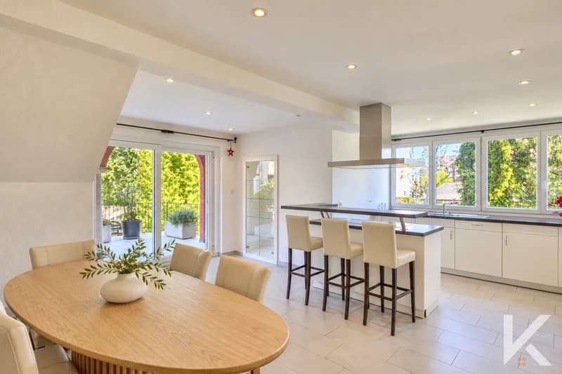Profitez du chauffage à distance et oubliez vos factures de gaz. Magnifique appartement 6.5 pièces et studio en copropriété au bord de la Vièze (3)