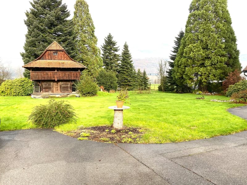 Large green lawn with various plants and trees, small wooden house, paved pathway.