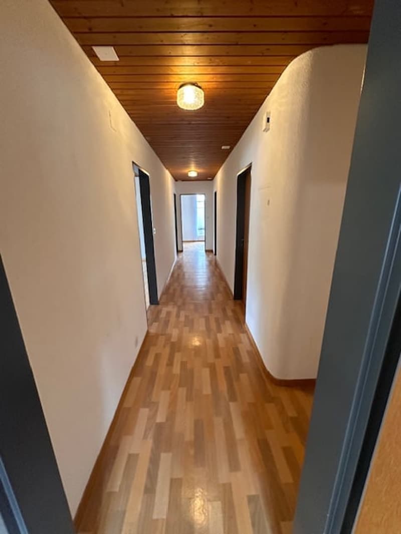 Helle 4.5-Zimmer-Wohnung mit Balkon und schöner Aussicht in Wangen bei Olten (5)