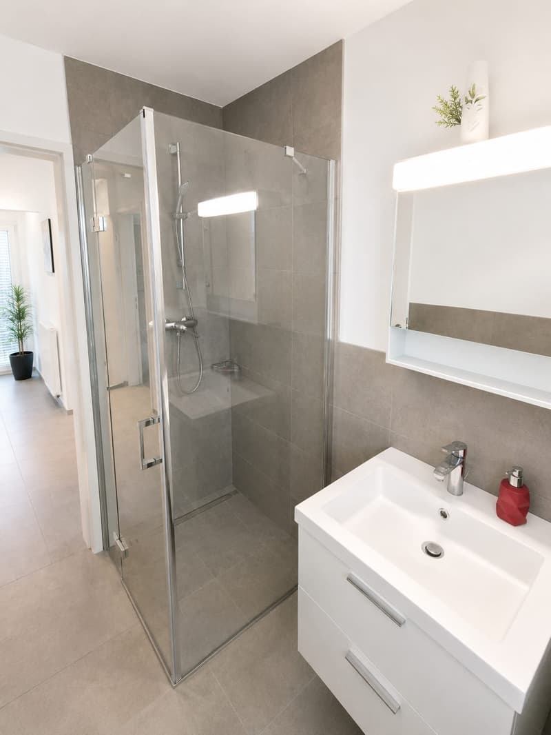 Exklusive 4.5-Zimmer-Attikawohnung mit Panoramablick und privatem Liftzugang in Kestenholz (6)