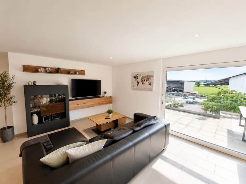 Exklusive 4.5-Zimmer-Attikawohnung mit Panoramablick und privatem Liftzugang in Kestenholz (2)