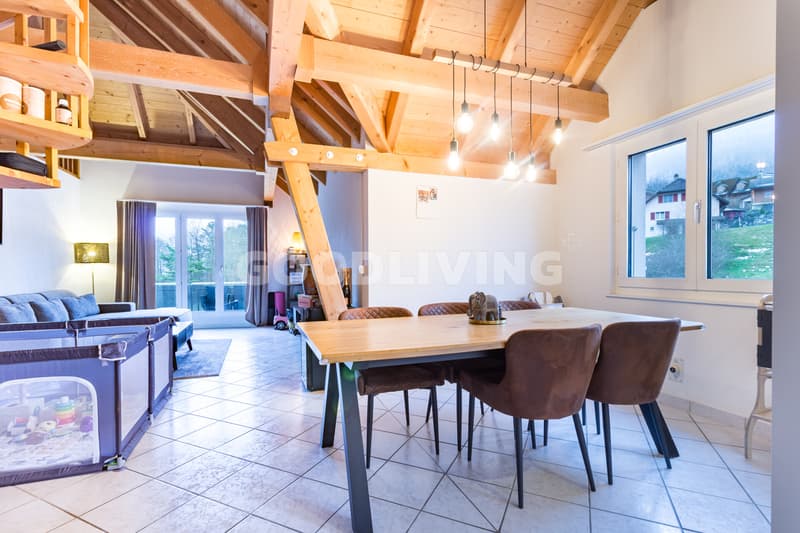 Duplex avec galerie et grand volume (1)