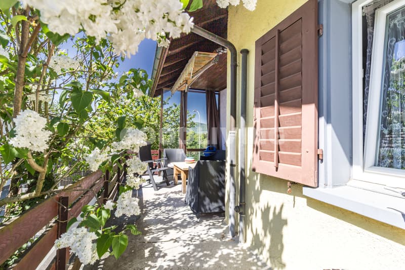Sonnige Gartenidylle mit Blick ins Grüne (7)