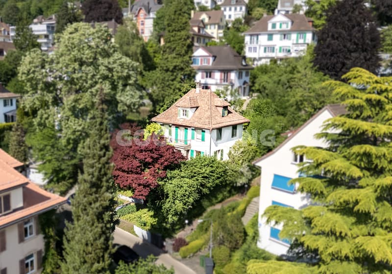 Charmante Liegenschaft am Zürichberg mit Potenzial (2)
