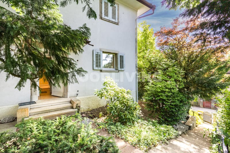 Charmante Liegenschaft am Zürichberg mit Potenzial (12)