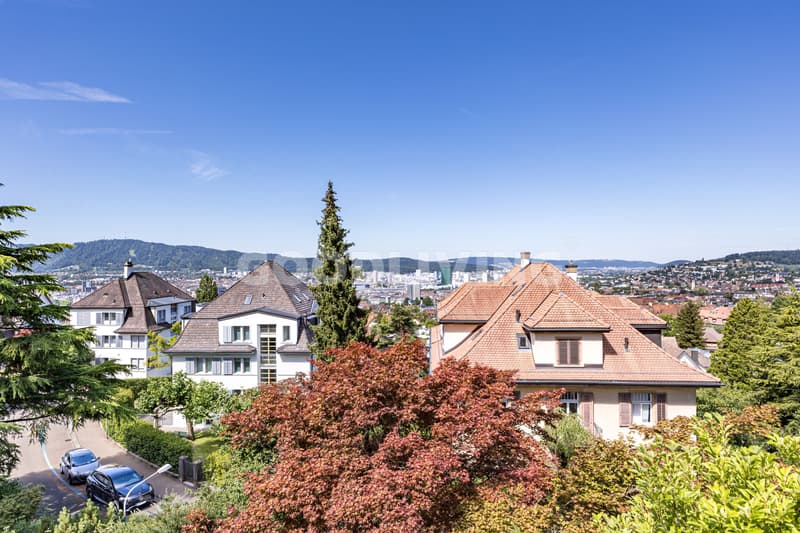 Charmante Liegenschaft am Zürichberg mit Potenzial (7)