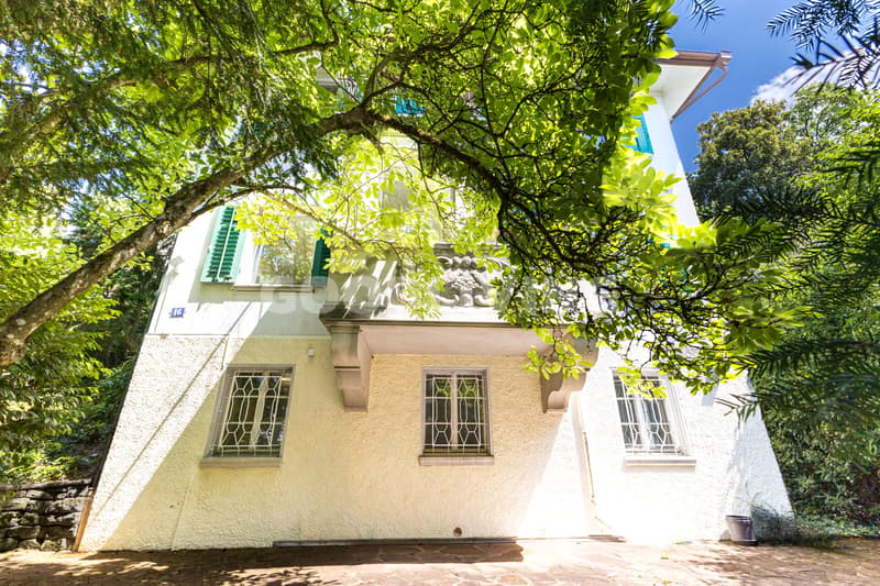 Charmante Liegenschaft am Zürichberg mit Potenzial (3)
