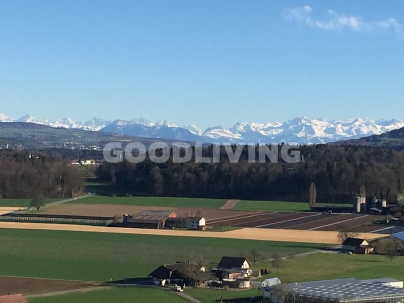 *RESERVIERT* Wohnen mit Weitblick (2)