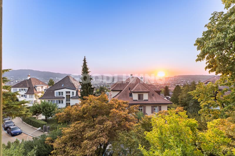 Rarität mit Potenzial am Zürichberg (11)