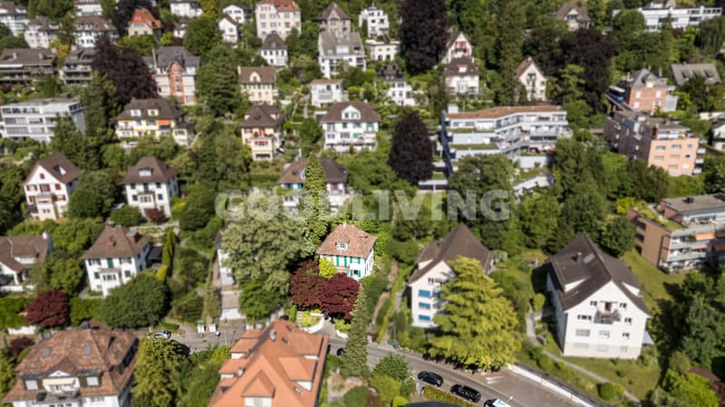 Rarität mit Potenzial am Zürichberg (10)