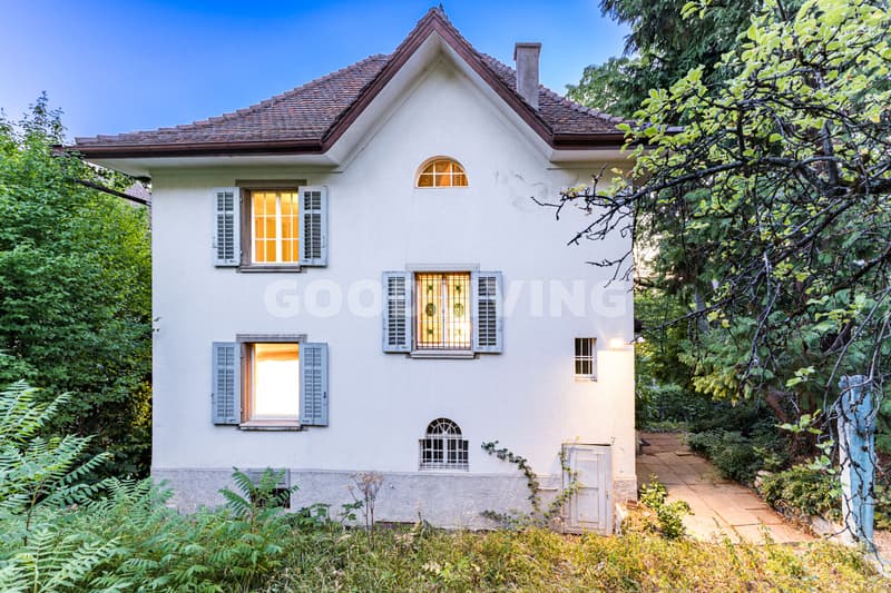 Rarität mit Potenzial am Zürichberg (1)
