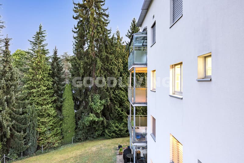 Ankommen in Horgen (13)