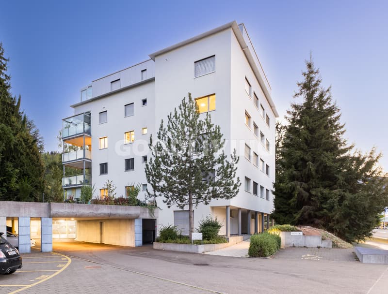 Ankommen in Horgen (9)