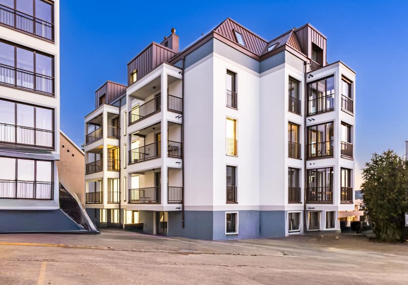 Erstbezug mit Wohnkomfort in Zürich-Höngg (10)