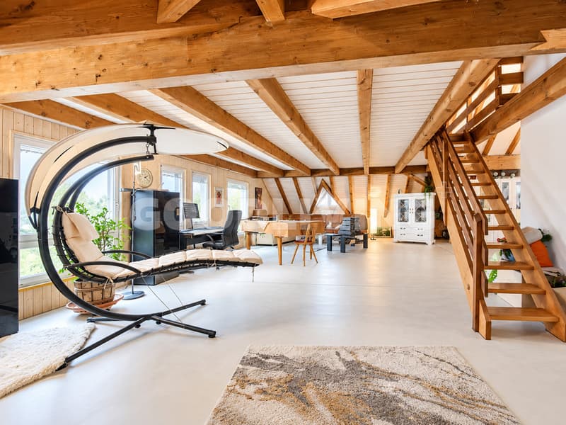 Exklusive Villa mit drei Wohneinheiten, privatem Pool und traumhafter Aussicht im Hölzi-Quartier (6)