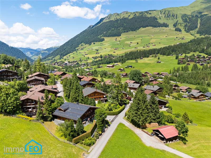 3½-Zi.-Gartenwohnung + 2-Zimmer Studio, 2023 renoviert, Lauenen b. Gstaad (7)