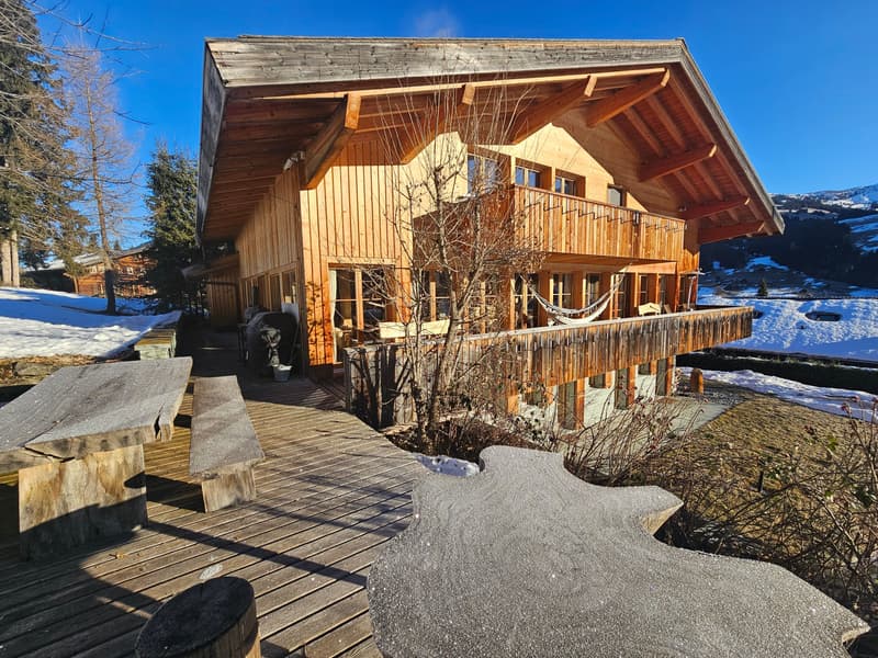 Luxus-Chalet - lichtdurchflutet mit Panoramasicht und höchster Privatrphäre (2)