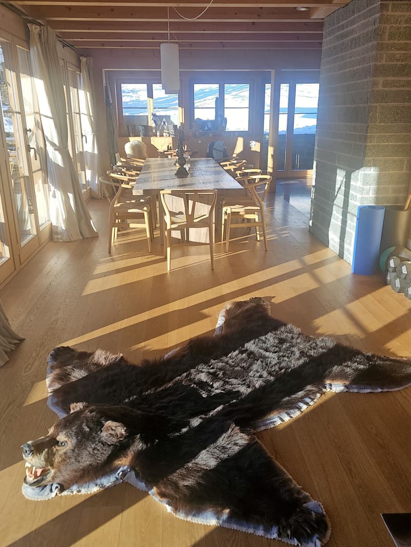 Luxus-Chalet - lichtdurchflutet mit Panoramasicht und höchster Privatsphäre (3)