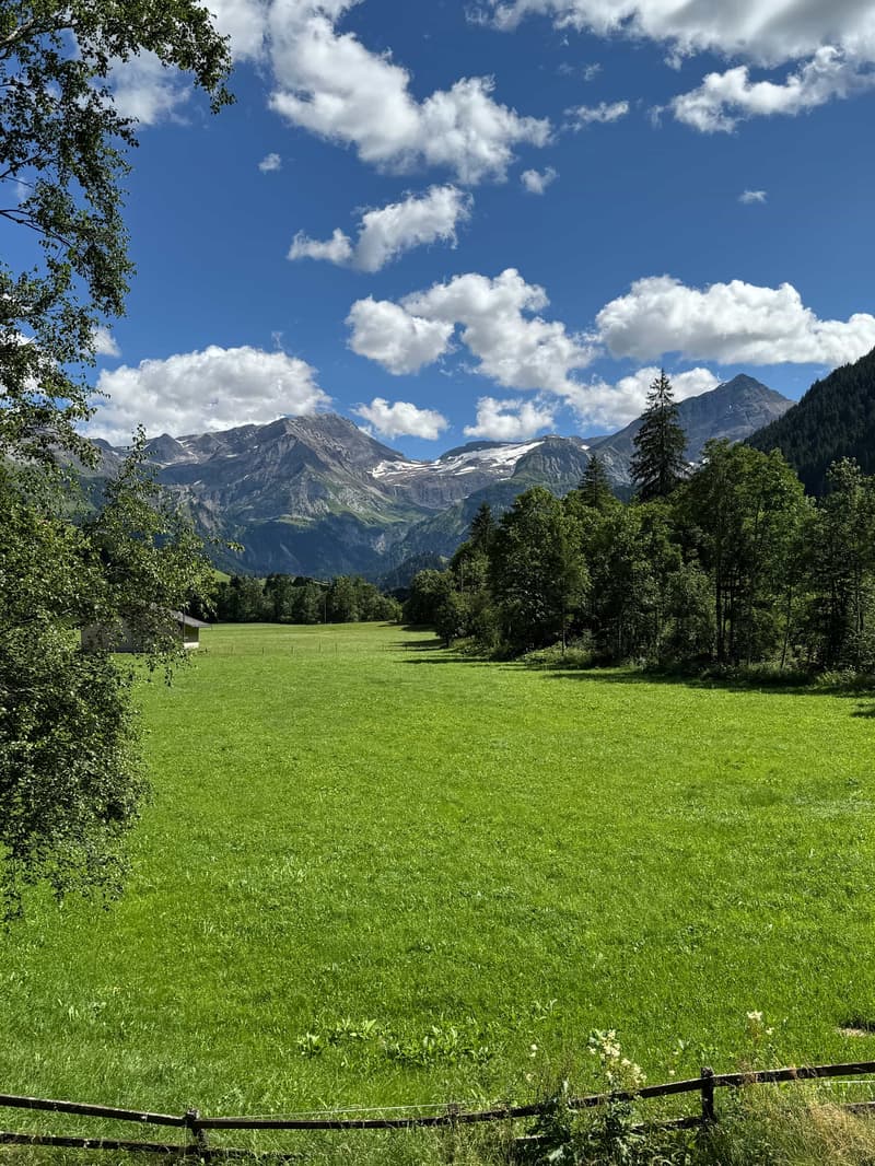Idyllisches 5½-Zimmer Neubau-Chalet mit Bergsicht (3)