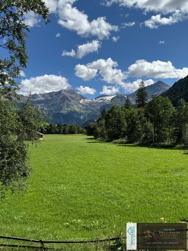 Idyllisches 5½-Zimmer Neubau-Chalet mit Bergsicht (2)
