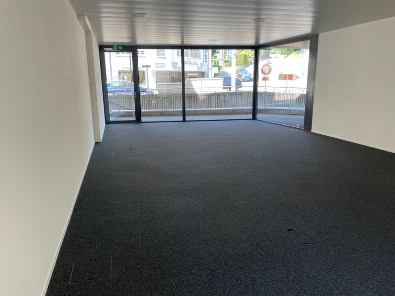 empty room, white walls, black carpet, large windows, metal railings