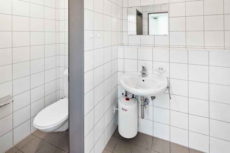 Attraktive Gewerbefläche mit vielseitigen Nutzungsmöglichkeiten (11)