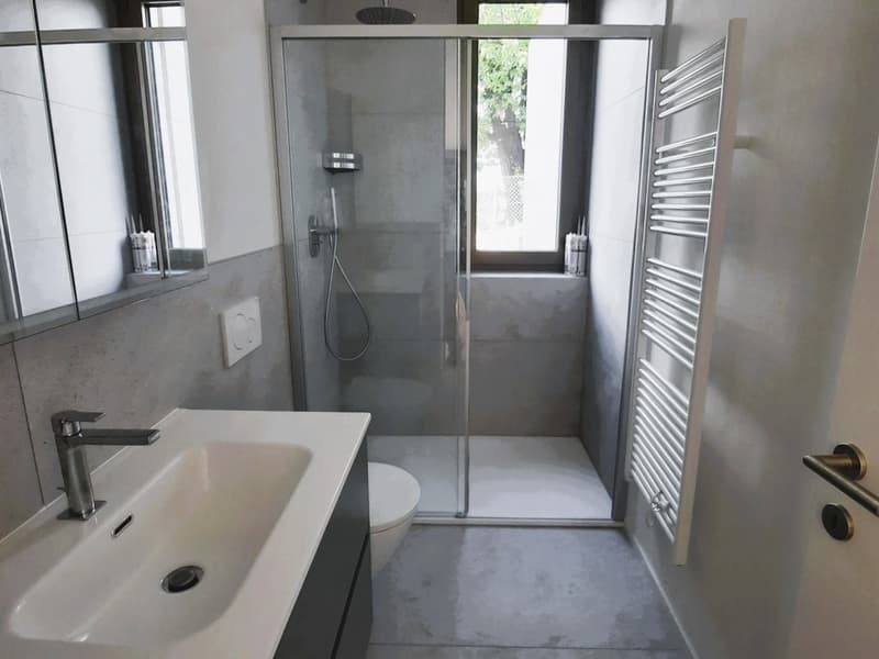 NUOVO APPARTAMENTO 2.5 LOCALI, AMPIO GIARDINO E VISTA LAGO (7)