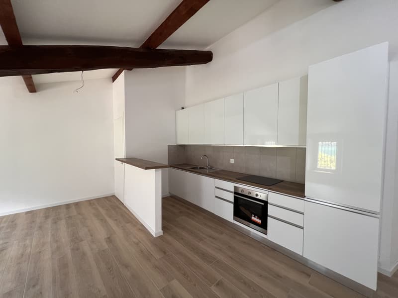 APPARTAMENTO 2.5 LOCALI MANSARDATO RISTRUTTURATO (4)