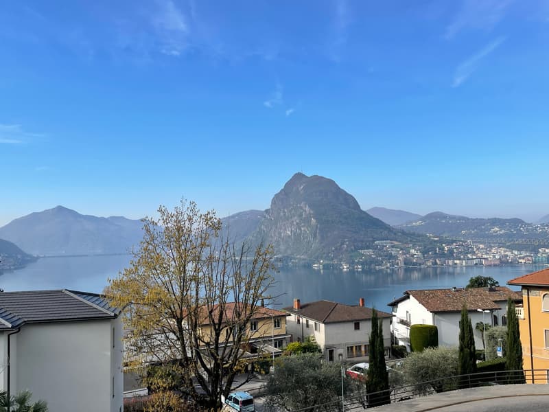 APPARTAMENTO 3.5 DUPLEX CON MERAVIGLIOSA VISTA LAGO (13)