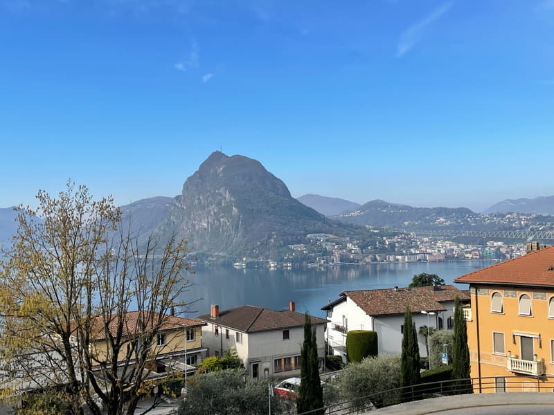 APPARTAMENTO 3.5 DUPLEX CON MERAVIGLIOSA VISTA LAGO (12)