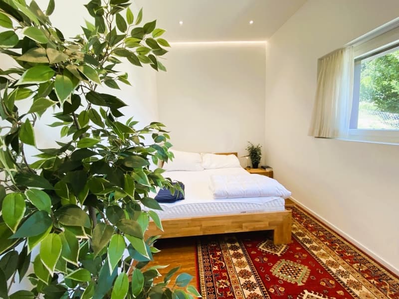 PRESTIGIOSA VILLA UNIFAMILIARE (11)