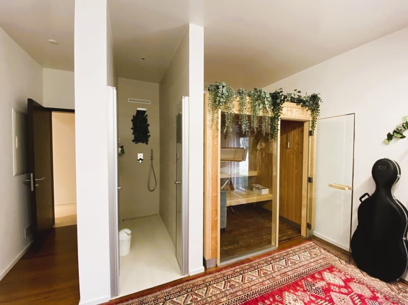 PRESTIGIOSA VILLA UNIFAMILIARE (12)