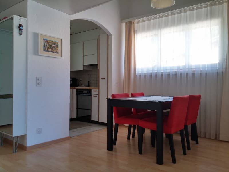 APPARTAMENTO 3.5 LOCALI  IN ZONA SOLEGGIATA CON VISTA LAGO (6)