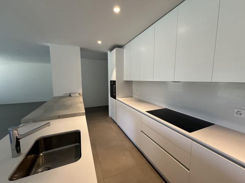 APPARTAMENTO 3.5 LOCALI CIRCONDATO DAL VERDE (6)