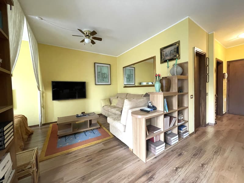 APPARTAMENTO 2.5 LOCALI CON VISTA PANORAMICA SUL LAGO (4)