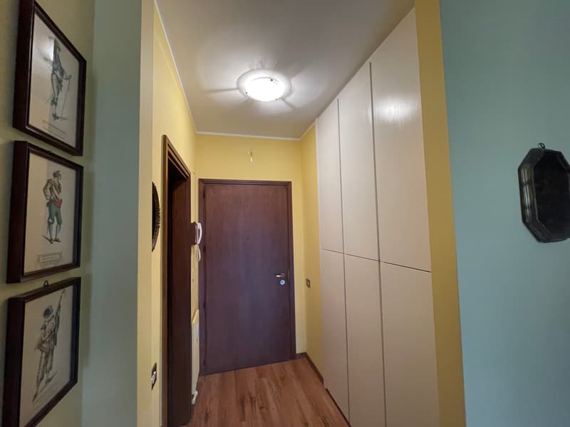 APPARTAMENTO 2.5 LOCALI CON VISTA PANORAMICA SUL LAGO (7)