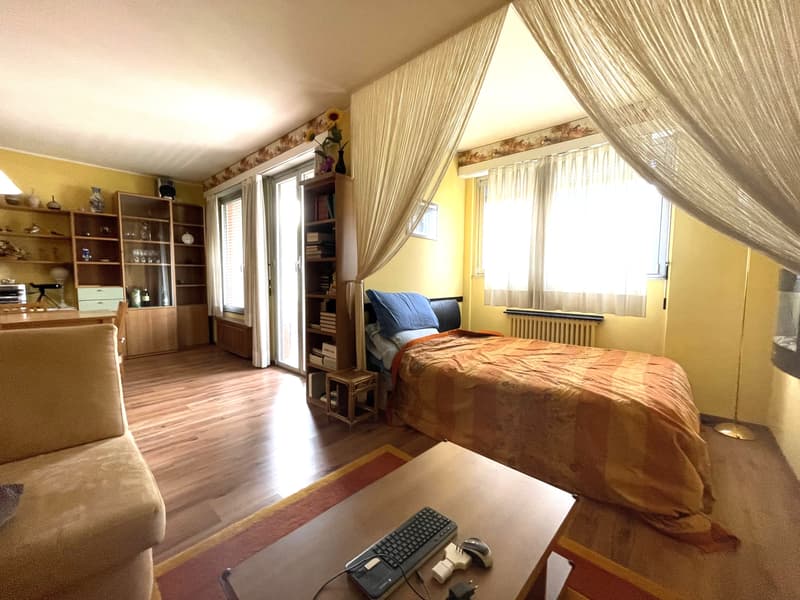 APPARTAMENTO 2.5 LOCALI CON VISTA PANORAMICA SUL LAGO (5)