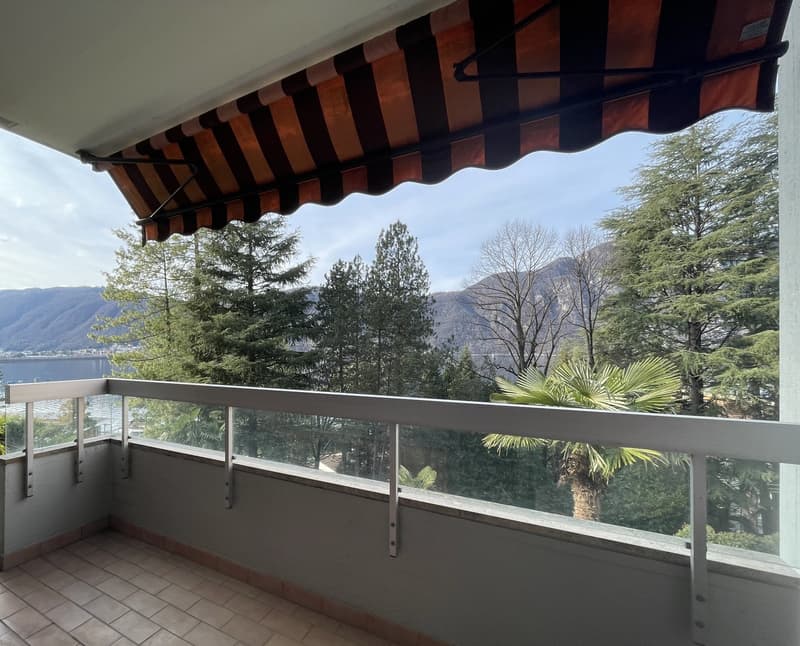 APPARTAMENTO 2.5 LOCALI CON VISTA PANORAMICA SUL LAGO (9)