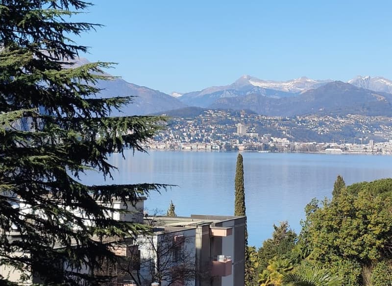 APPARTAMENTO 2.5 LOCALI CON VISTA PANORAMICA SUL LAGO (2)