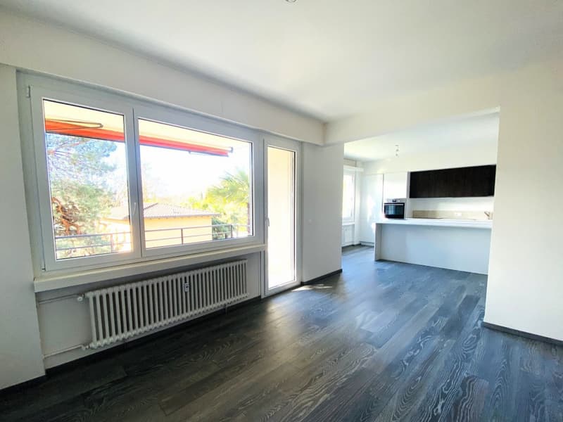 APPARTAMENTO 4.5 LOCALI RISTRUTTURATO - IN PALAZZINA CON PISCINA CONDOMINIALE (5)