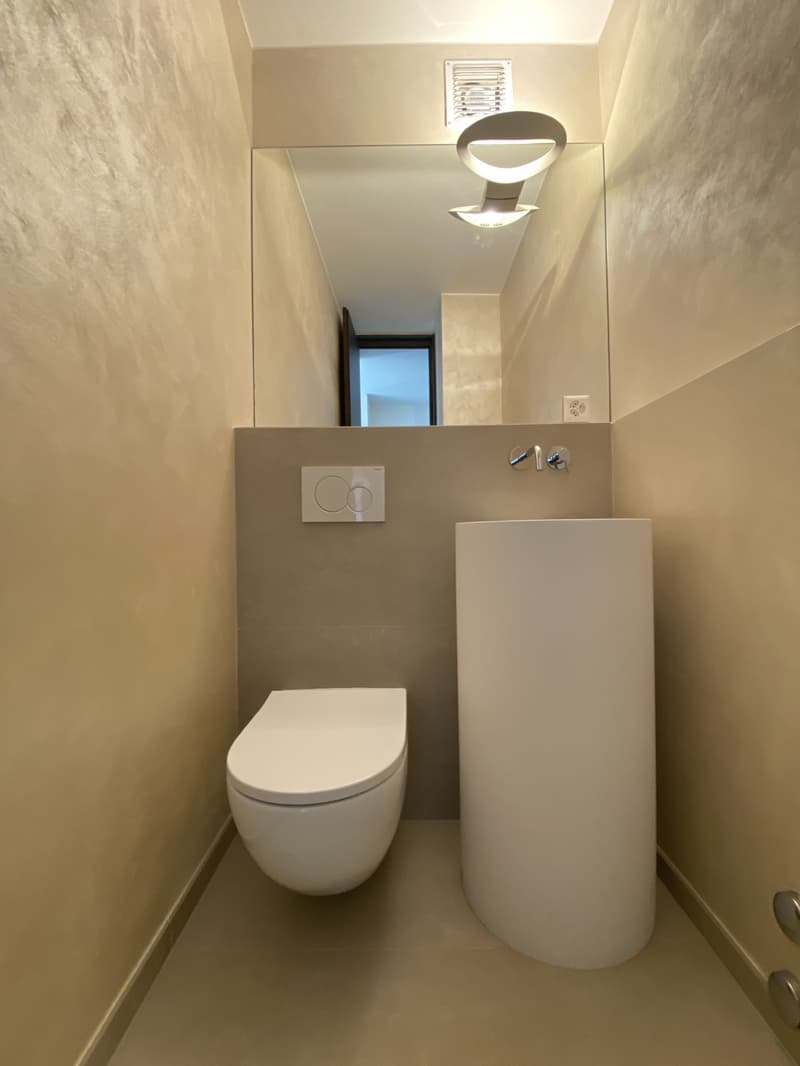 APPARTAMENTO 4.5 LOCALI RISTRUTTURATO - IN PALAZZINA CON PISCINA CONDOMINIALE (13)