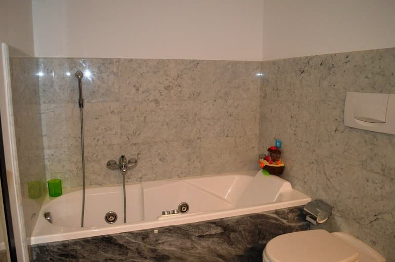 APPARTAMENTO 4.5 LOCALI DUPLEX CON GIARDINO (11)